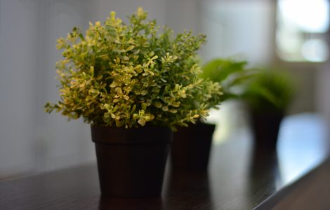 Интерьер бара